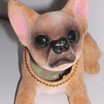 chihuahuabobble